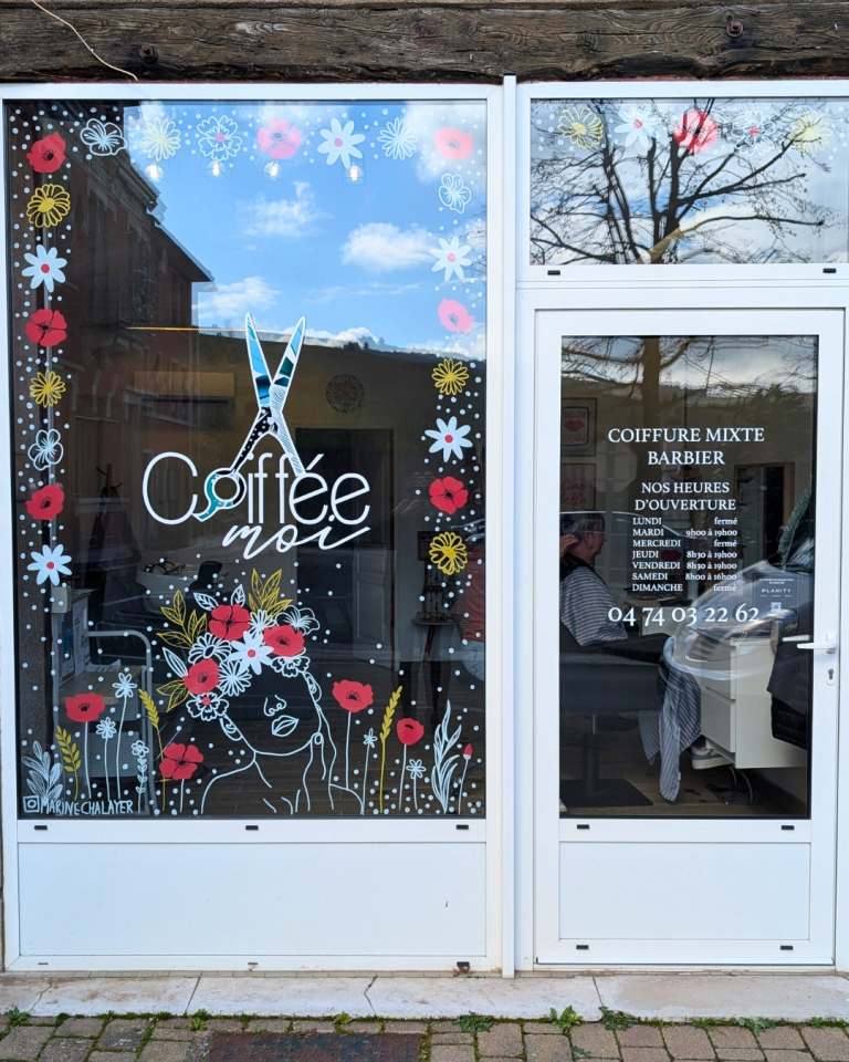 Peinture sur vitrine _ rhones alpes_05