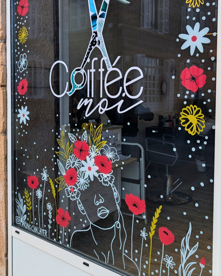 Peinture sur vitrine _ rhones alpes_06