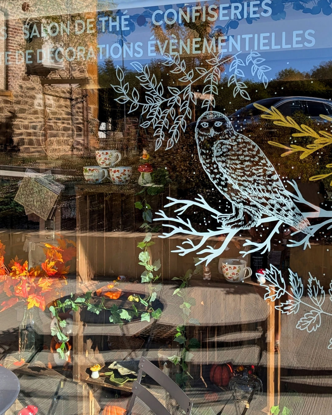 Marine Chalayer_peinture sur vitrine_Tarare_rhone _ alpes