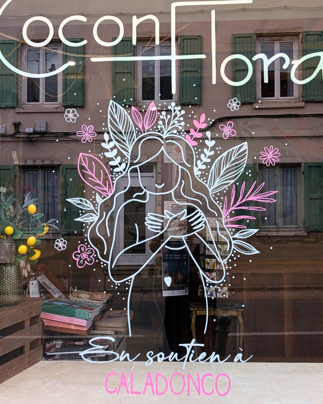 MarineChalayer_peinturesurvitrine_octobre_rose_rhonealpes